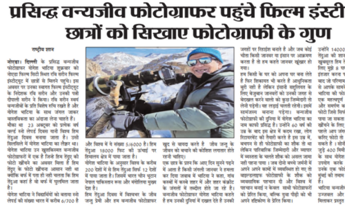 RSFI-Press-Media